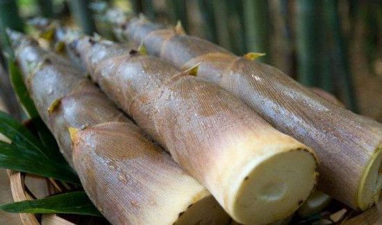 红糖和什么不能一起吃