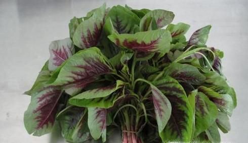 吃苋菜的好处与注意事项有哪些