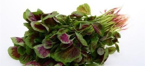 吃苋菜的好处与注意事项有哪些