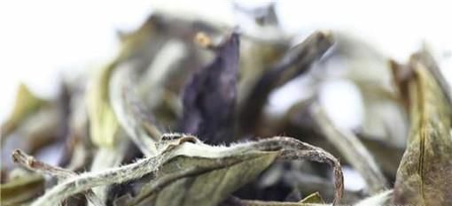 夏天喝什么茶比较好