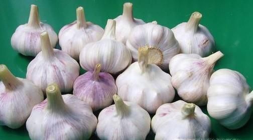 厨房新手做饭需要掌握的基本小常识有哪些？