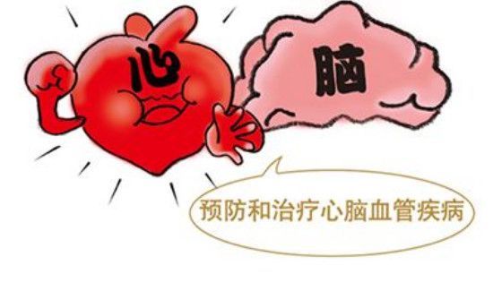 花胶鸡汤的功效与作用