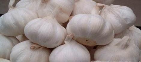 蒜怎么保存不坏
