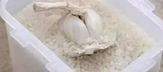 蒜怎么保存不坏