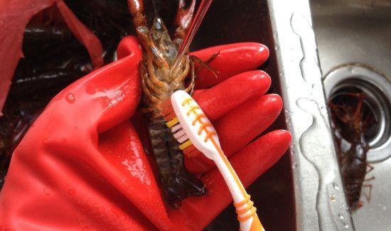 龙虾怎么保存才新鲜冰箱里