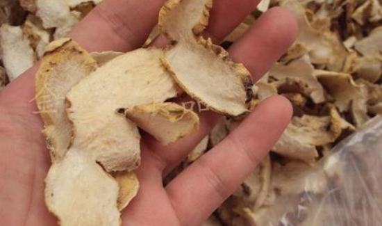 黄精泡水喝的五大禁忌