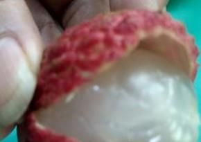 如何干干净净剥荔枝