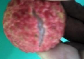 如何干干净净剥荔枝