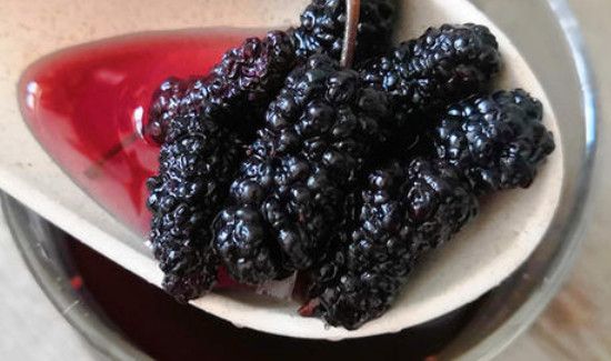 桑葚的副作用水喝的五大禁忌