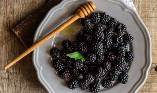 桑葚的副作用水喝的五大禁忌