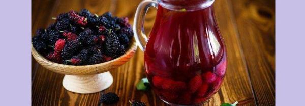 桑葚的副作用水喝的五大禁忌