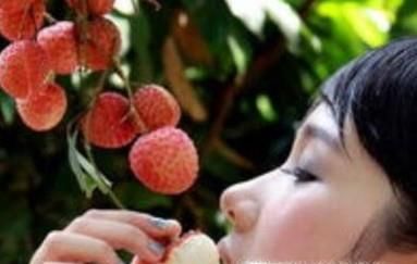 孕妇能否吃荔枝