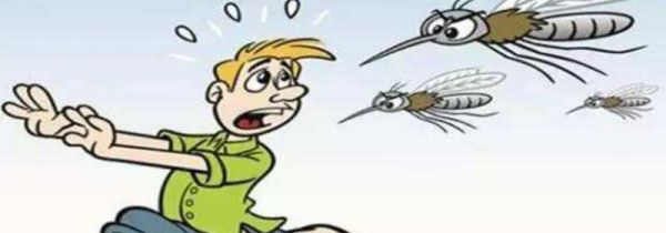 为什么开了空调蚊子就不怎么叮人