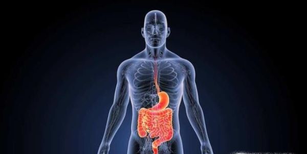 喝蜂蜜柠檬水对人体有什么好处？