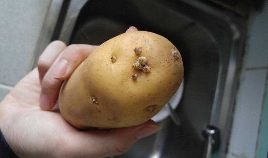 青皮土豆削皮后能吃吗