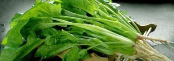 菠菜可以和黄瓜一起吃吗?