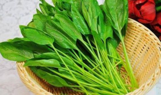 菠菜可以和黄瓜一起吃吗?