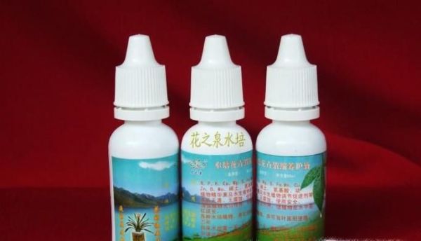 水培蔬菜的简易方法