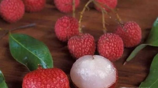 荔枝吃多了会上火吗