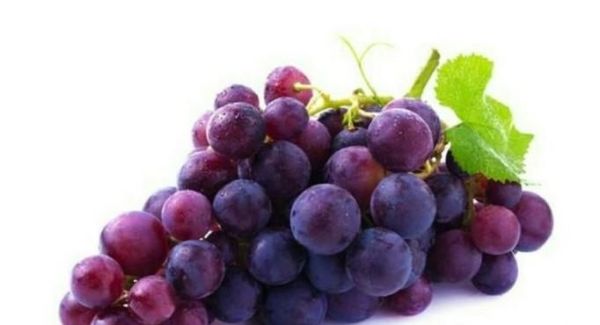 小龙虾不能和哪些食物一起吃