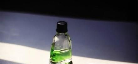 如何防蚊子于未然?