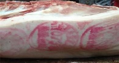 为什么猪肉身上会有红色和蓝色的印章