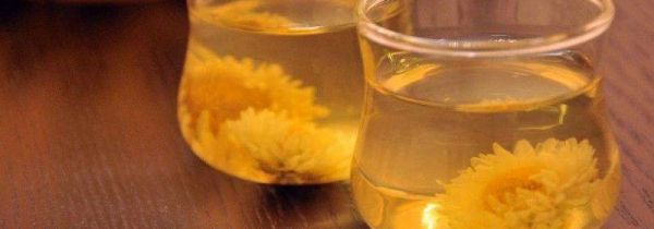 胎菊泡水喝的9大禁忌