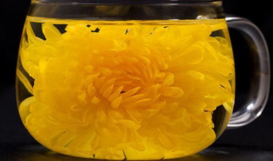 胎菊泡水喝的9大禁忌