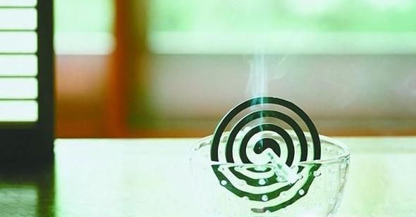 夏季准备什么东西能够防止蚊虫？