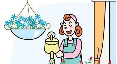 金鱼吊兰的养殖技巧