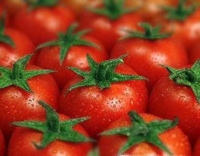 夏天多吃哪些蔬菜好？