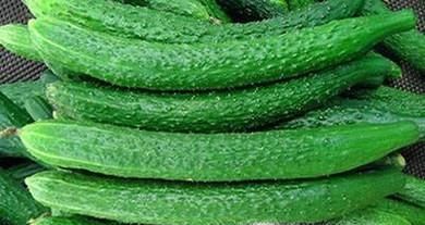 夏天多吃哪些蔬菜好？