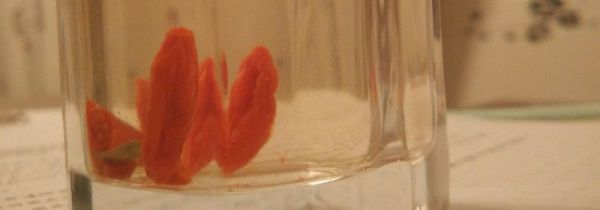 保温杯泡枸杞的危害