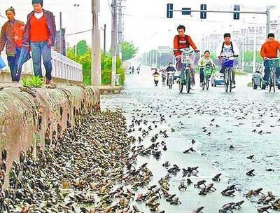 预防地震的方法和措施防范