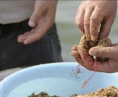 教你如何用大蒜钓鱼，鱼获翻倍让你满载而归