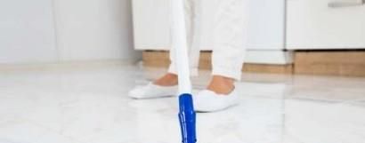 家里有跳蚤如何消灭？