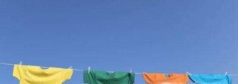 家里有跳蚤如何消灭？