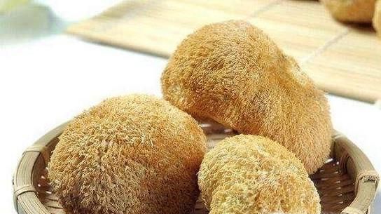 常见能食用野生蘑菇