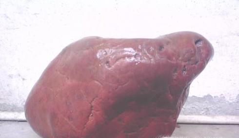 鸡血玉和鸡血石的区别，鸡血石和鸡血玉哪个好