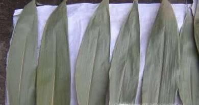 包粽子前粽叶怎么处理