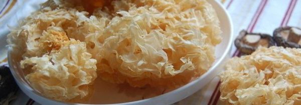 干银耳泡一晚上有毒吗