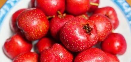 开胃的水果有哪些