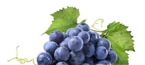 开胃的水果有哪些