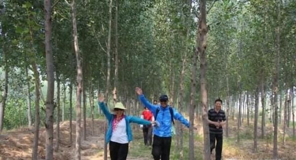 树林里辨别方向的方法