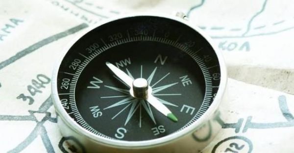 树林里辨别方向的方法