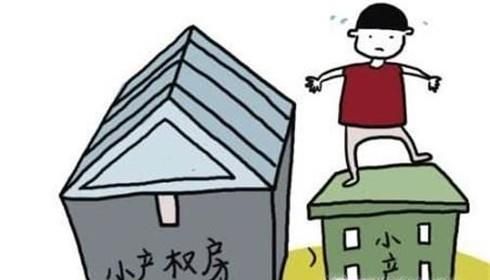 大产权和小产权区别？