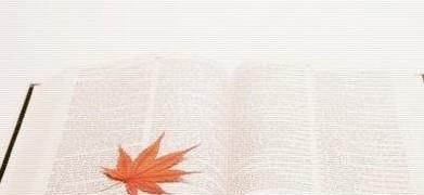如何加强个人道德修养