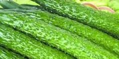 黄瓜与什么菜不可同吃