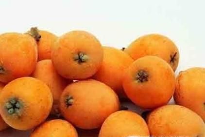 枇杷怎么保存不易坏