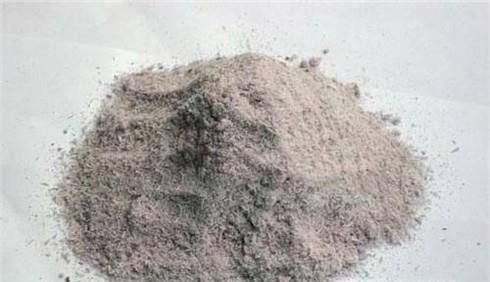 怎样正确种植小葱成活率高？